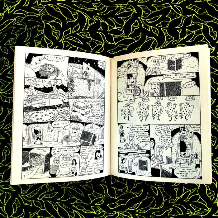 The Raincoat - Zad Kokar