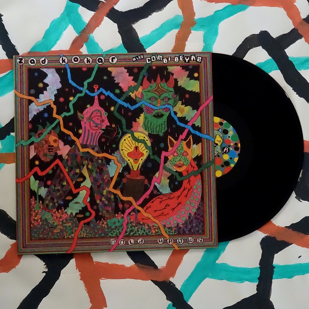 Mold Grows - Zad Kokar