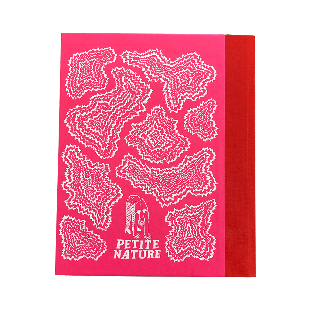 The Raincoat - Zad Kokar