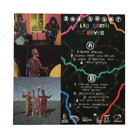 Mold Grows - Zad Kokar 2