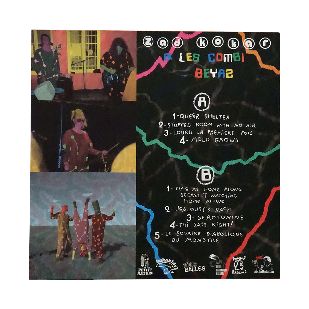 Mold Grows - Zad Kokar