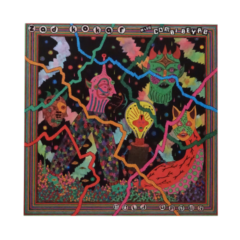 Mold Grows - Zad Kokar