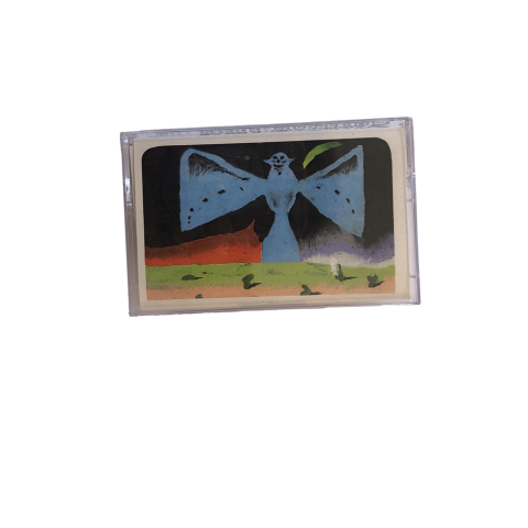 Types of Zooïds - Quantum Dregz