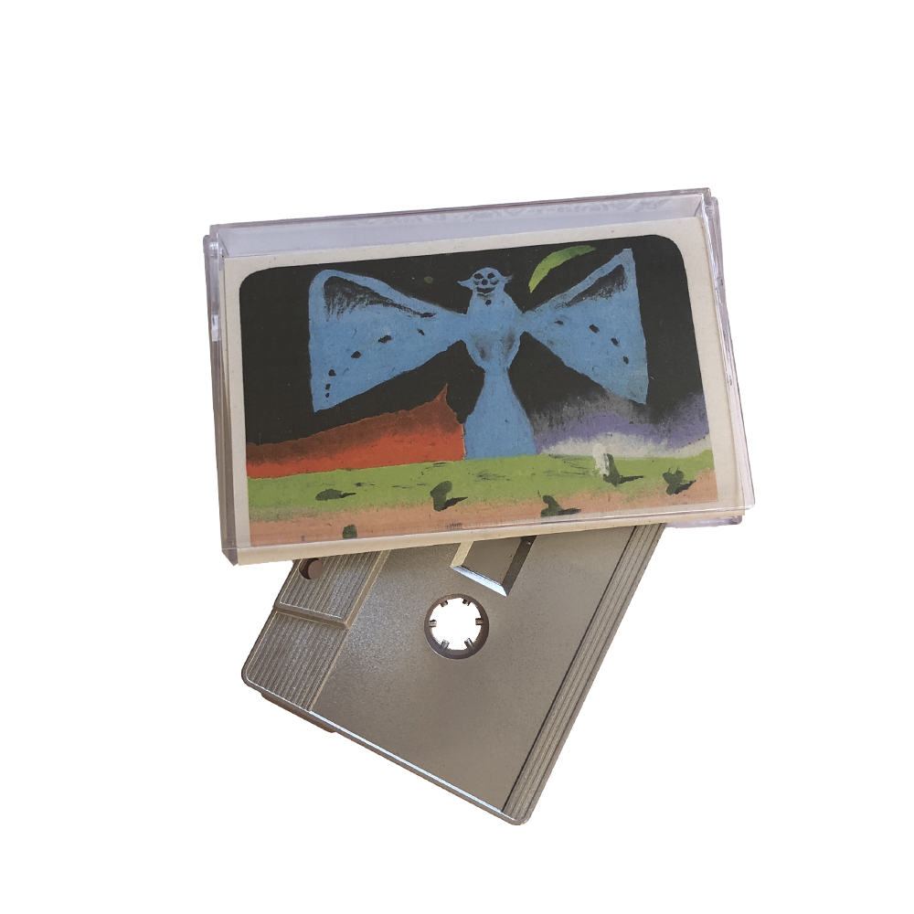 Types of Zooïds - Quantum Dregz