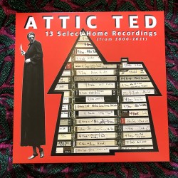 Attic Ted - 13 Select Home...